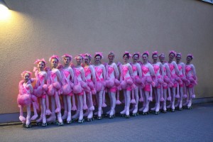 Flamingo (2) by Showskating   